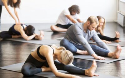 Yoga Workshop für Anfänger und Wiedereinsteiger